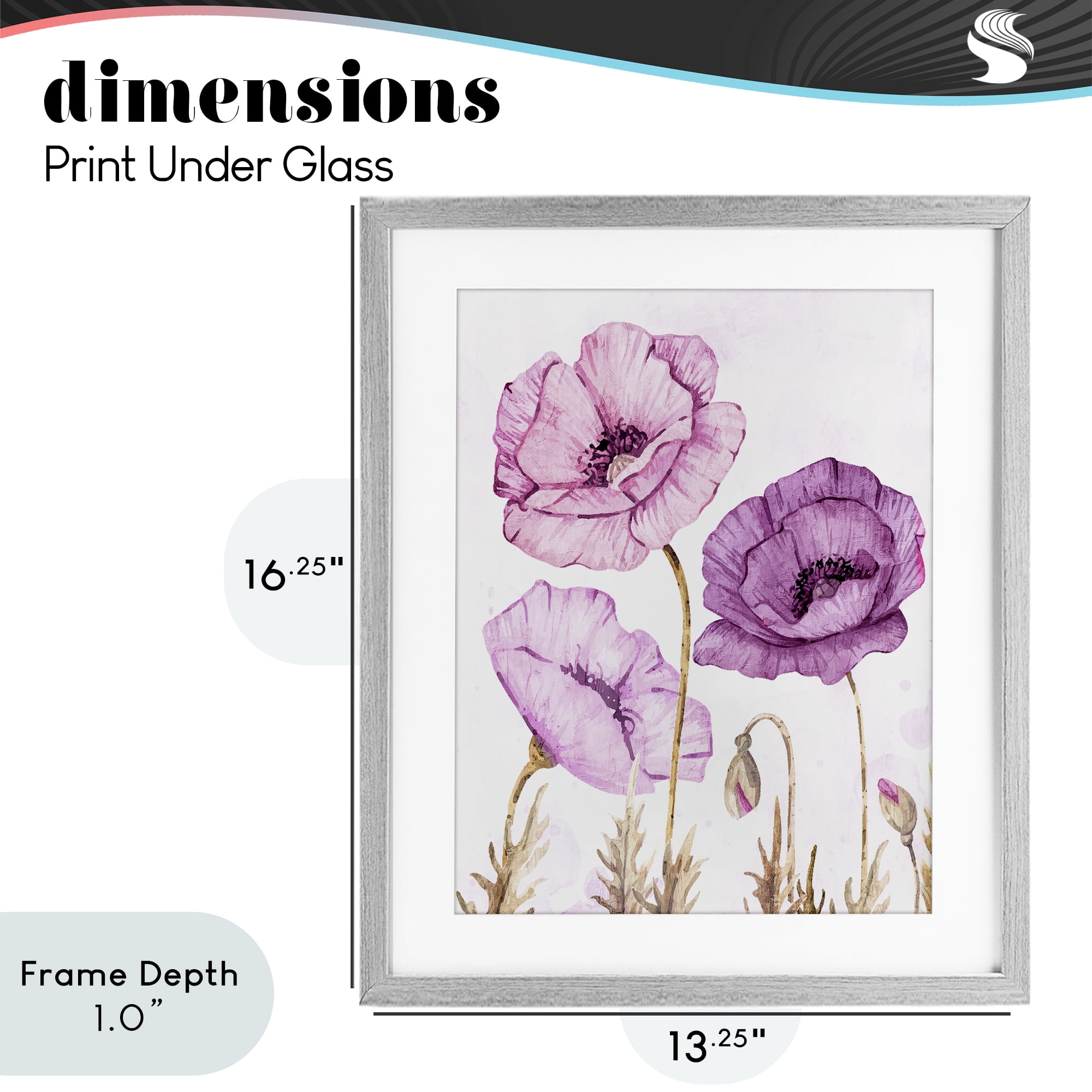 Stupell Industries Bright Poppies in Purple Gray Framed Print Under Glass, design by Kim Allen