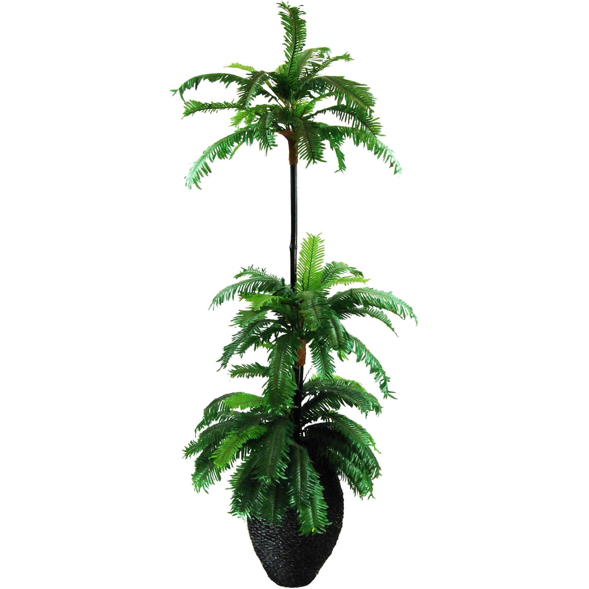 Sago Palm Tree in an Oval Basket with Faux Dirt