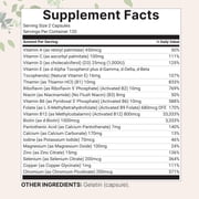 Micro Ingredients Pure Methylated Multivitamin, 240 Capsules | 19-in-1 Formula with Vitamins C, D, B12, Folate, Magnesium, Zinc & More | Multivitamin for Men and Women | Filler Free, Non-GMO