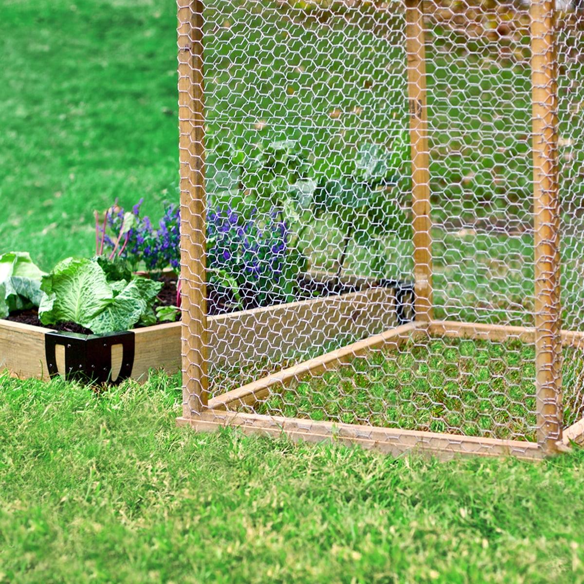 Expert Gardener Galvanized Steel Gray Poultry Netting - 36 in x 50 ft - Rolled Wire Netting