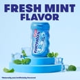 thumbnail image 4 of Mentos Pure Fresh Sugar-Free Fresh Mint Xylitol Chewing Gum, 50 Count Bottle, 4 of 12