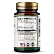 Akkermansia Gut Health Supplement - Premium Akkermansia Probiotic With Prebiotic Fiber - Akkermansia Muciniphila 2 Billion AFU Per Serving - GLP-1 Support for Women & Men, Bottled USA - 120 Capsules
