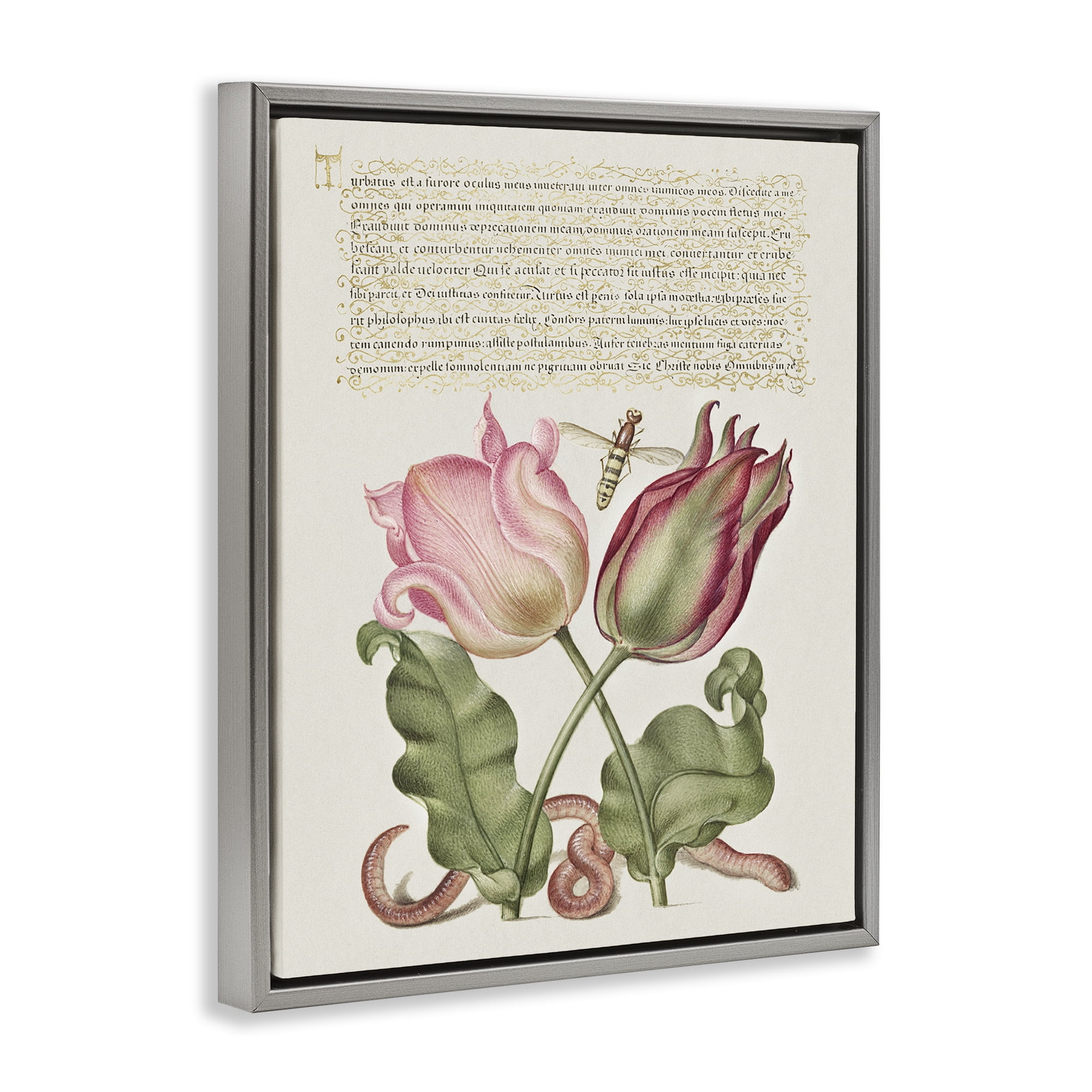 Stupell Industries Tulips & Insects Antique Text & Numbers Painting Gray Floater Framed Canvas Art Print Wall Art, 17 x 21