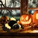 thumbnail image 5 of Juguete realista y adorable, peluche suave de Halloween para niños, para jugar en interiores, 5 of 7