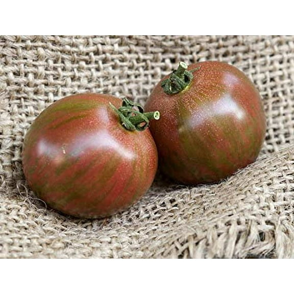 Sherwood's Seeds Purple Bumblebee Tomato Plant Seeds, Heirloom