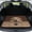 Labrador Retriever Paw Brown, variant on COEQINE Universal Car Trunk Mat All Weather Cargo Liner Floor Mat with Non-Slip Backing Scratch-proof Pet Cargo Mat Suitable for Most Car Models, Labrador Retriever Paw Brown