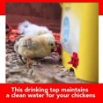 thumbnail image 4 of 10Pcs Chicken Drinking Tap Poultry Drinking Tap Automatic Chicken Water Cup Waterer Kit for Poultry, 4 of 4