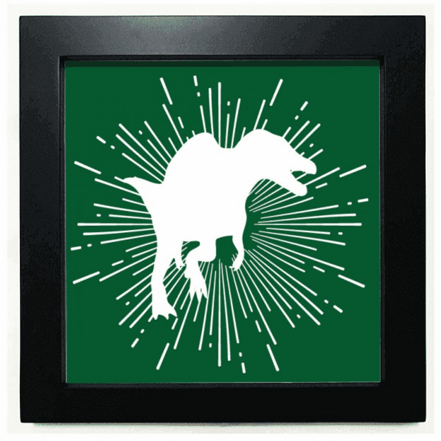 Cadre Photo Carré Noir pour Mur Ou Table de Chasse aux Animaux