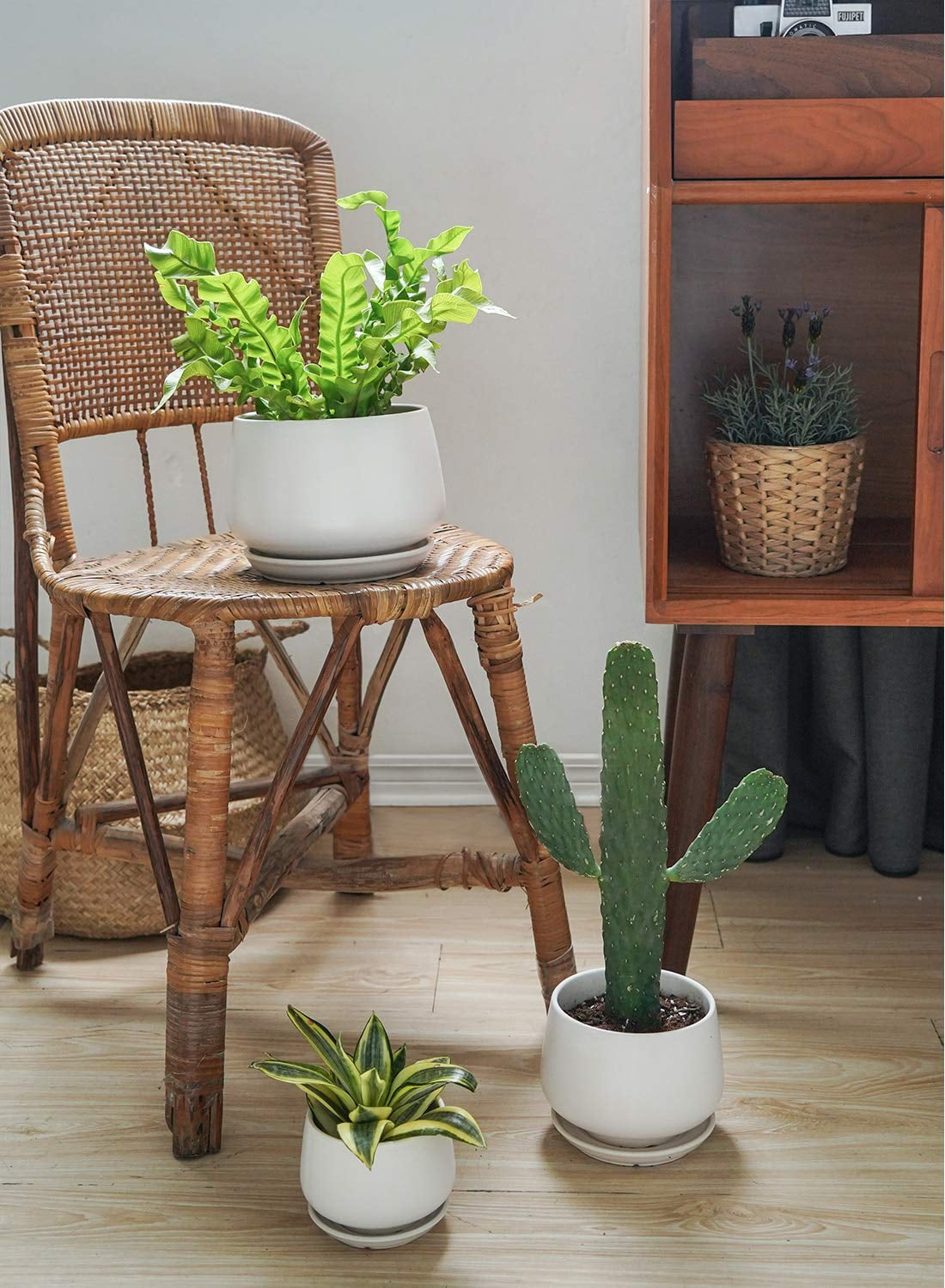 BEMAY Set of 3 Ceramic Plant Pots, 4.1" 5.1" 6.5" Indoor Planters with Drainage Hole and Saucer, White Round Flower Pots (Plants Not Included)