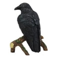 thumbnail image 4 of Ebros Gothic Raven Crow Perching On Tree Branch Scavenger Bird Figurine 5.75" H, 4 of 6