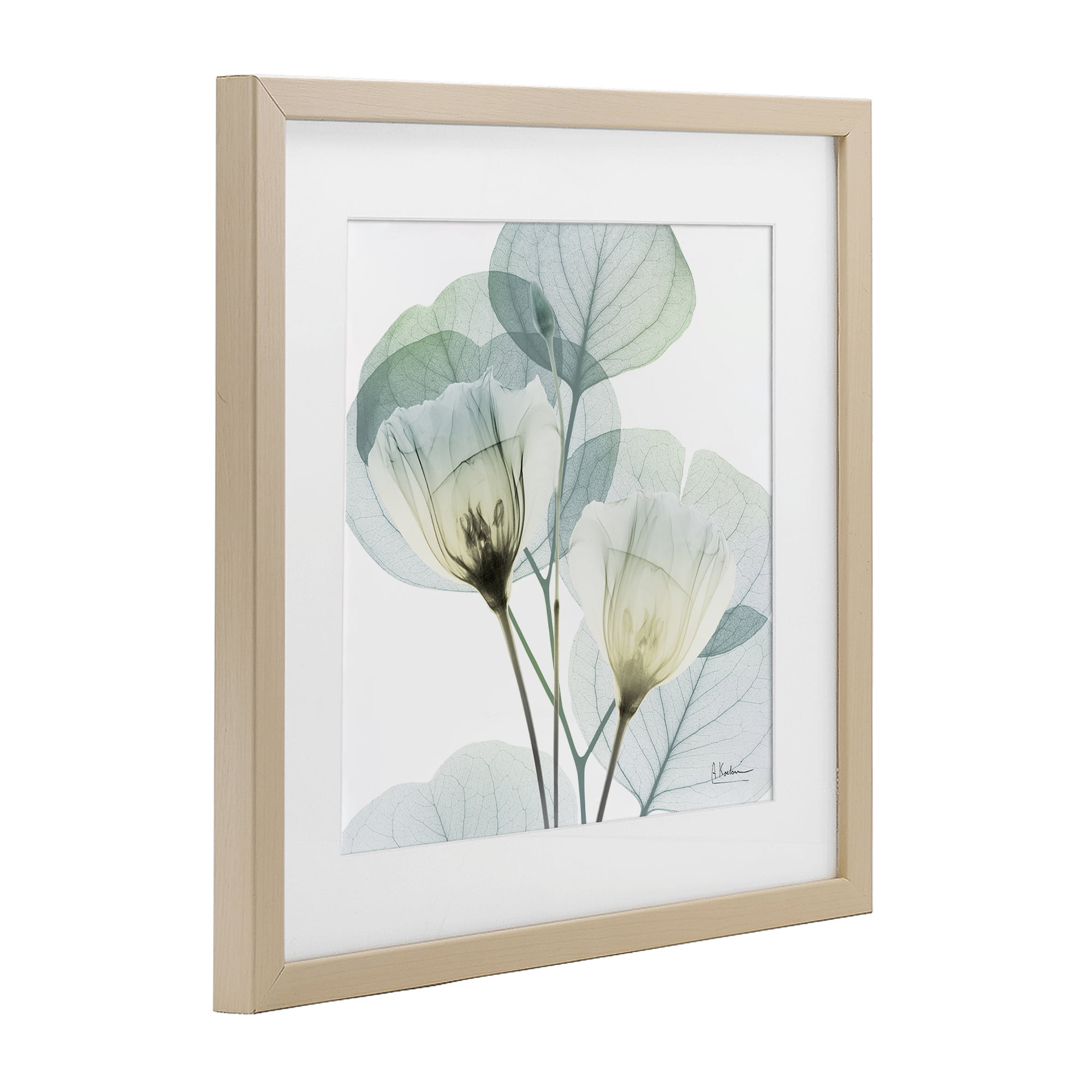 Stupell Industries Divine Fate Flower Leaves Birch Framed Print Under Glass, design by Albert Koetsier
