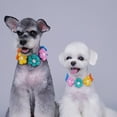 thumbnail image 5 of Soft Creative Adjustable Small Flower Pattern Popular Colorful Puppy Kitty Decor Cat Necklace Pet Supplies Dog Collar XXL 4, 5 of 8