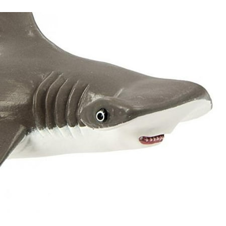 Safari Ltd Incredible Creatures Collection - Hammerhead Shark Baby - Realistic Hand Painted Toy Figurine Model - Quality Construction from Safe and BPA Free Materials - For Ages 3 and Up