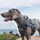 thumbnail image 3 of Chaleco de adiestramiento para perros ONETIGRIS, táctico, sin tirones, gris, 3 of 7