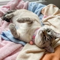 thumbnail image 3 of Oodles Woven Checkered Breakaway Cat Collar, Pink, One Size, 3 of 8