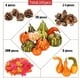 thumbnail image 1 of Accesorios para cosecha de calabazas, 141 piezas Simulación de acción de gracias Calabaza Bellota Artificial Calabaza falsa Hoja de arce Construcción robusta, 1 of 8