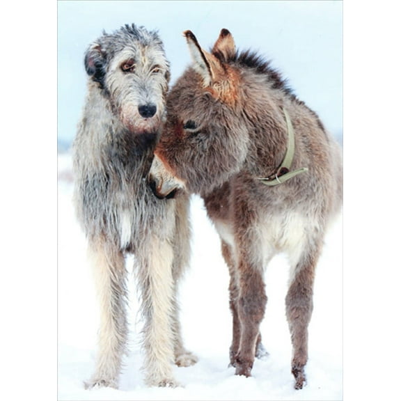 Northern Exposure Dog and Donkey Box of 12 Christmas Cards