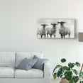 thumbnail image 3 of Trademark Fine Art 'Rustic Sheep I' Canvas Art by Ethan Harper, 3 of 4