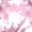Pink, variant on Bogo Yoga Pants Women Tall Set With Pocket Women Petite Pantsuits Sweatpants Women Petite Plus Size Cute Pants For Women Dressy