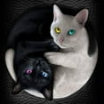 thumbnail image 1 of 5D Diamond Painting Kits for Adults Black and White Cat, DIY Diamonds Art Kits Full Round Drills Animal Paint with Diamonds Mosaic Beads Paint by Number Home Decor 12x12Inch (30x30cm), 1 of 6