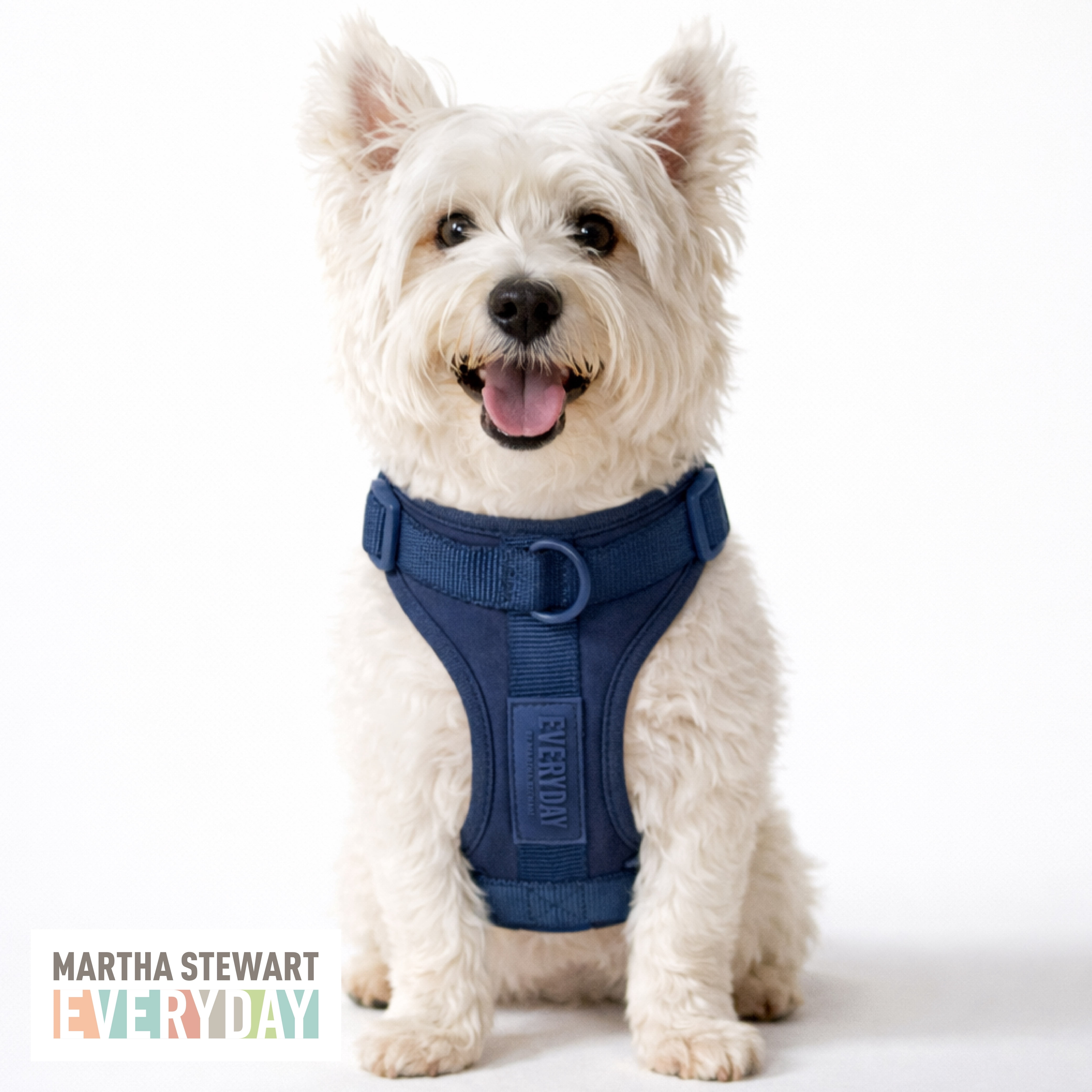 Martha Stewart Neoprene Padded Pet Harness - Navy, Small