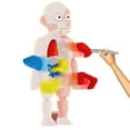 thumbnail image 1 of Ensemble de Jouets Modèle Corps Humain pour Enfants Modèle Anatomie Torse Détachable, 1 of 10