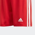 thumbnail image 6 of adidas boys Squad 21 Shorts Team Power Red/White Large, 6 of 9