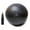 Black, variant on Exercise Ball with Pump - Professional Grade Anti-Burst Fitness and Balance Ball