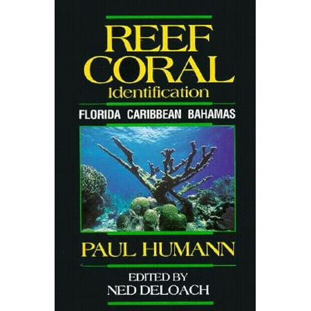 reef coral identification florida