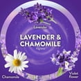 thumbnail image 5 of Air Wick Plug-In Scented Oil Air Freshener Warmer Refills Multipack, Lavender, Fresh Linen, Hawaii, and Vanilla and Pink Papaya, 4 Count, 5 of 6