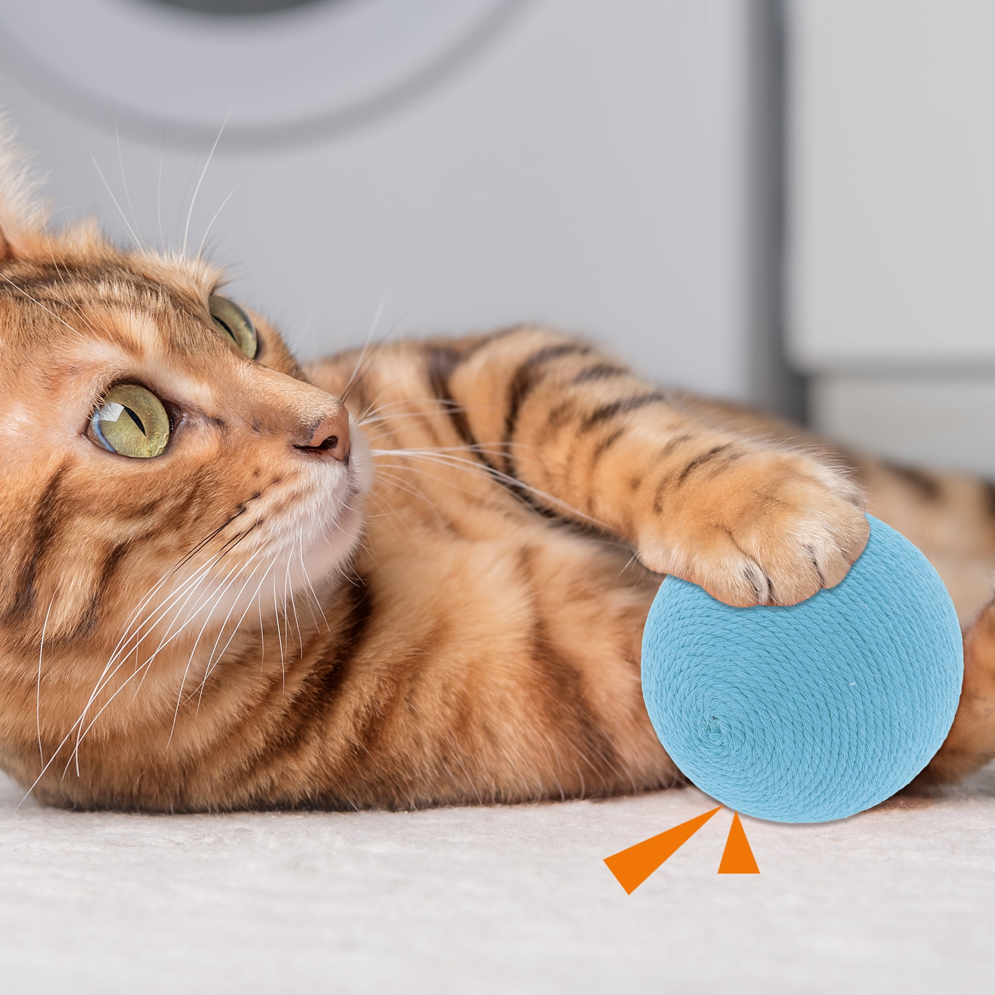Unique Bargains Playing Ball with Bell for Cat Playtime Blue