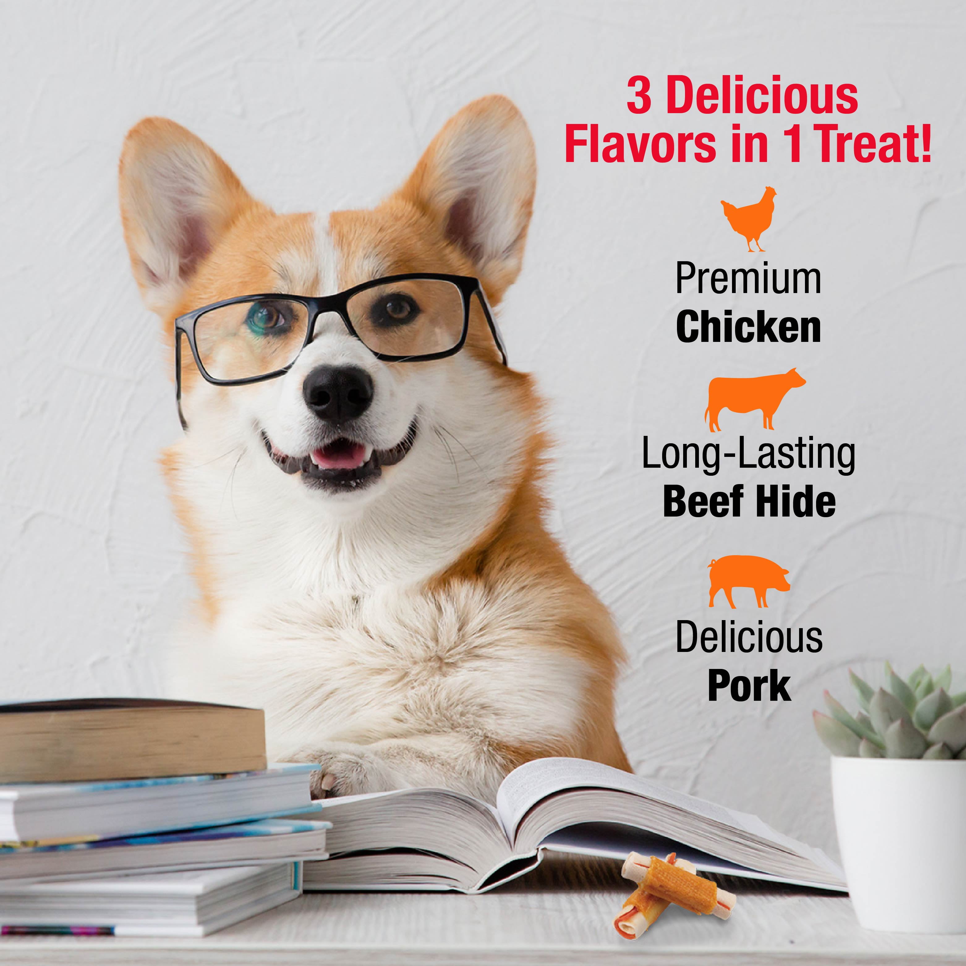 (2 pack) Good ‘n’ Fun Triple Flavor Mini Rolls, Long Lasting Dog Chews, 8 oz