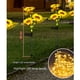 thumbnail image 3 of Luz De Tierra Control automático solar durable LED ligero de tierra del girasol de 3 cabezas para el patio, 3 of 9