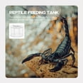 thumbnail image 1 of WEUVEB 2Pcs Acrylic Reptile Breeding Cage Transparent Feeding Box Practical Design with Air Holes, 1 of 8