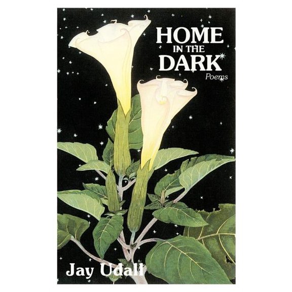 Home in the Dark: Poems (Paperback)