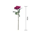 thumbnail image 4 of Rosa Artificial Mainstays Magenta 42 cm, 4 of 4
