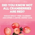 thumbnail image 5 of Ocean Spray® Pink Cranberry Juice Cocktail, 64 fl oz Bottle, 5 of 14