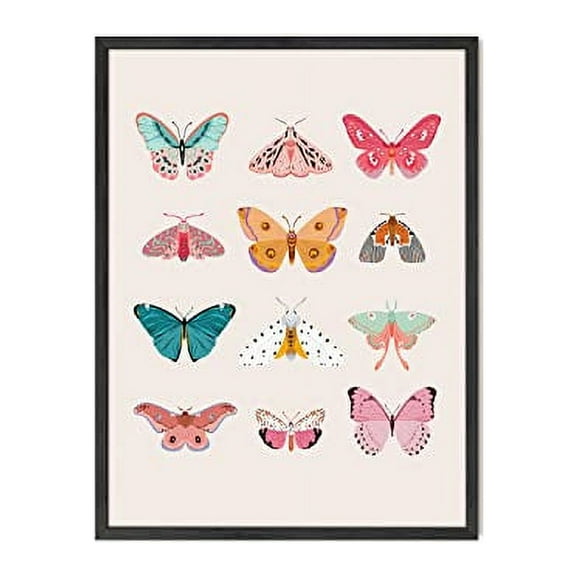 Haus and Hues Vintage Butterfly Posters & Butterfly Prints - Butterfly Poster Vintage Butterfly Art Wall Decor Butterfly Art Prints 12x16