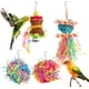 thumbnail image 1 of Paquete de 4 juguetes para triturar pájaros, juguetes para masticar loros pequeños, jaula para loros, juguete colgante para pájaros pequeños, periquitos, loros, tortolitos, cacatúas Namotu DLM514, 1 of 7
