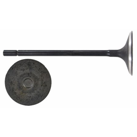 Single Intake Valve | Compatible with 2000-06 Ford 3.9L/241 V8 32V