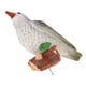 thumbnail image 1 of Pájaro de Resina Sunnimix Escultura del Pájaro de la Resina 24x10x48cm, 1 of 5