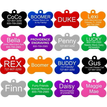 Custom Engraving Pet ID Tag, Silver (Best Dog Tags For Pets)