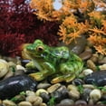 ruhuadgb Frog Statue Mini Durable Resin Terrarium Micro Landscape Frog
