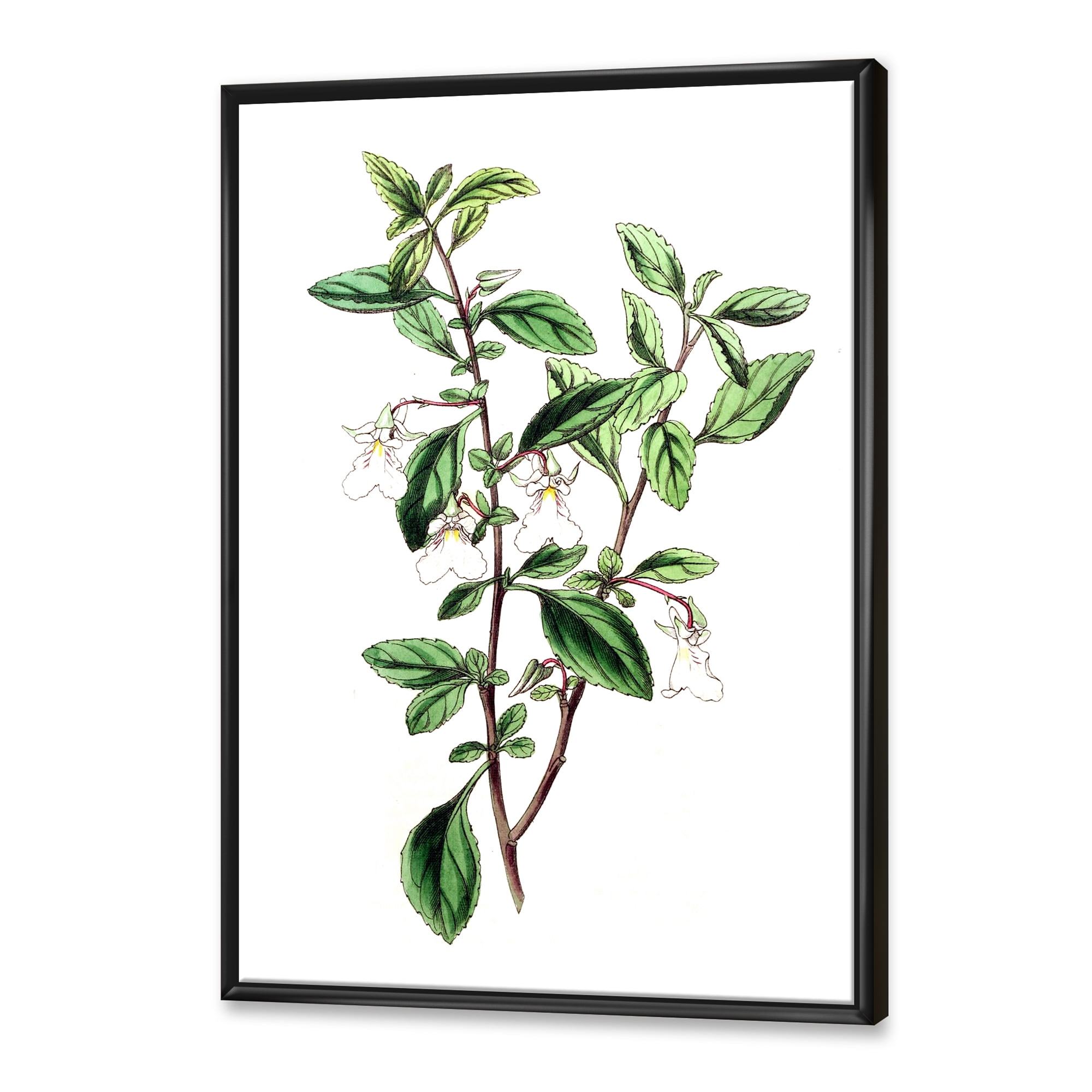 Designart 'Ancient Green Leaves Plants VII' Traditional Framed Canvas Wall Art Print