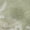 Aloe, variant on Addison Rugs Mayfield Premium Machine Washable Transitional Floral Taupe Rectangle Rug, 10' x 14'