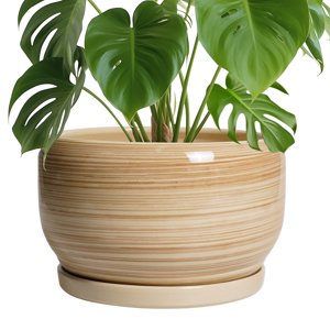 Ordivic Ceramic Plant Pot, 10-Inch Glossy Yellow with Saucer