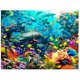 thumbnail image 2 of Poster Lenticular 3D Live Life Pctures - Dophin Delight Deluxebase 12348, 2 of 2