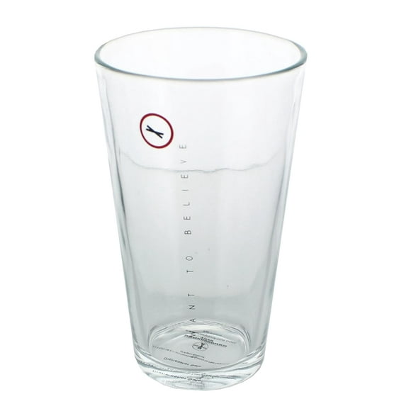 The X Files "I Want to Believe" Pint Glass Set
