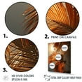 thumbnail image 3 of Designart "Sunset'S Tropical Palm Tree Leaves" Palms & Palm Trees Floater Framed Wall Decor, 3 of 5