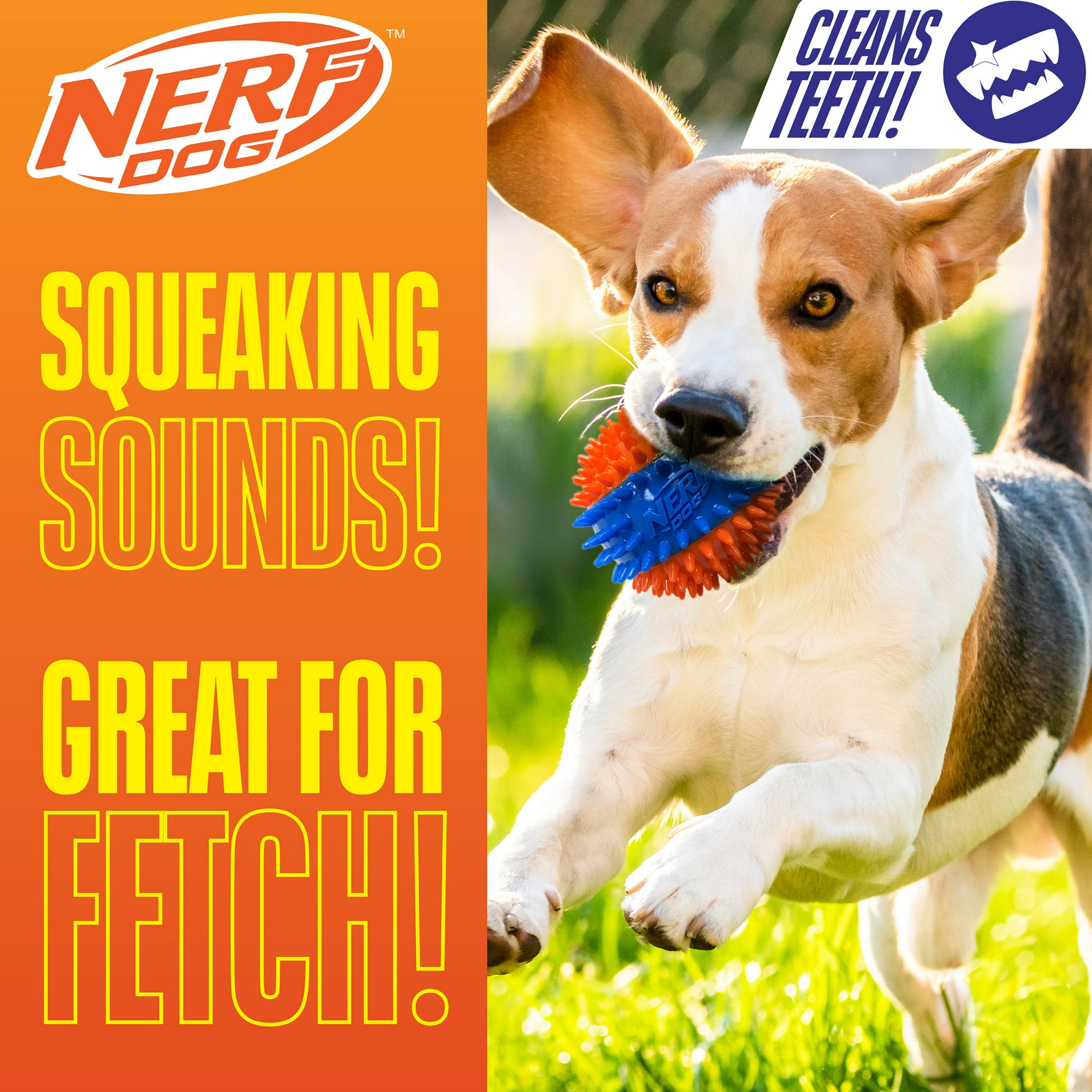 Nerf Dog Squeaky Dental Spike Ball Dog Toy, Orange/Blue, 2.7 inch